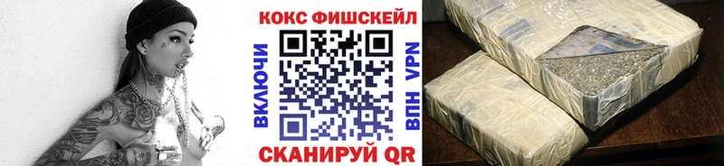 купить наркотик Россошь Cocaine Fish Scale