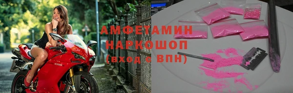 стаф Алзамай