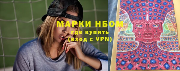 стаф Алзамай