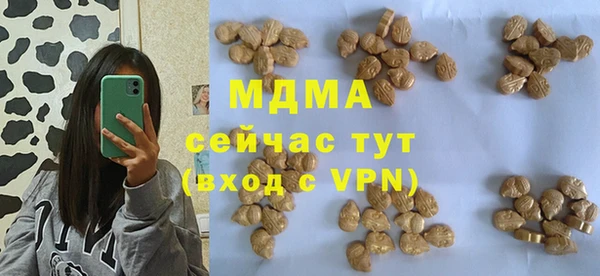 стаф Алзамай